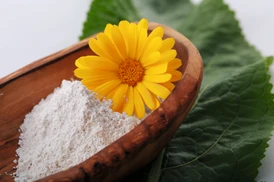 Calcium-Magnesium-Urmineralien Pulver